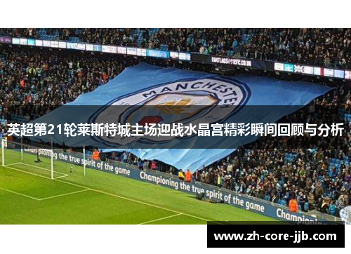 英超第21轮莱斯特城主场迎战水晶宫精彩瞬间回顾与分析