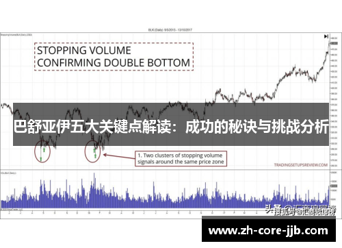 巴舒亚伊五大关键点解读：成功的秘诀与挑战分析