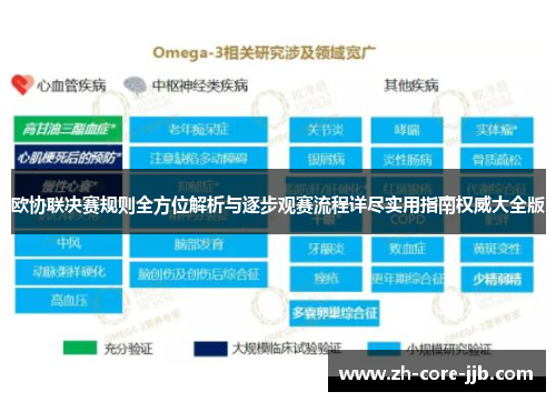 欧协联决赛规则全方位解析与逐步观赛流程详尽实用指南权威大全版 欧协联决赛规则全方位解析与逐步观赛流程详尽实用指南权威大全版