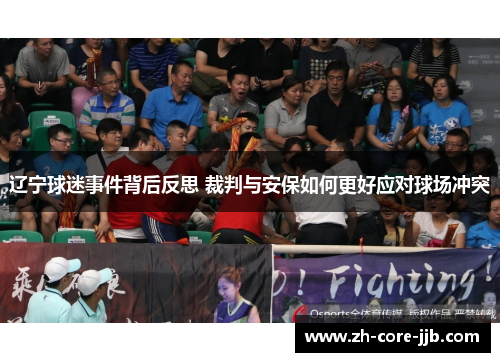 辽宁球迷事件背后反思 裁判与安保如何更好应对球场冲突