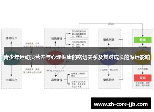 青少年运动员营养与心理健康的密切关系及其对成长的深远影响