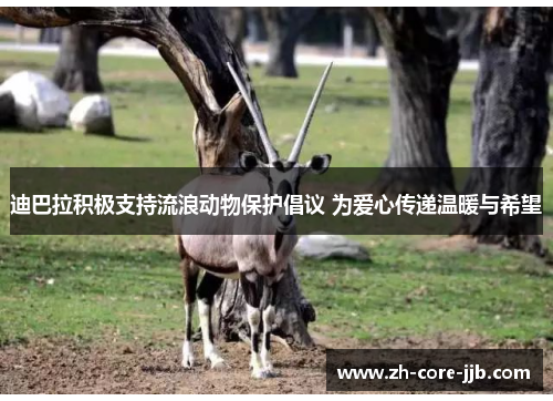 迪巴拉积极支持流浪动物保护倡议 为爱心传递温暖与希望 迪巴拉积极支持流浪动物保护倡议 为爱心传递温暖与希望