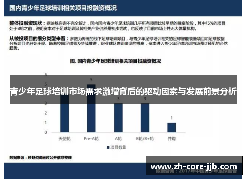 青少年足球培训市场需求激增背后的驱动因素与发展前景分析