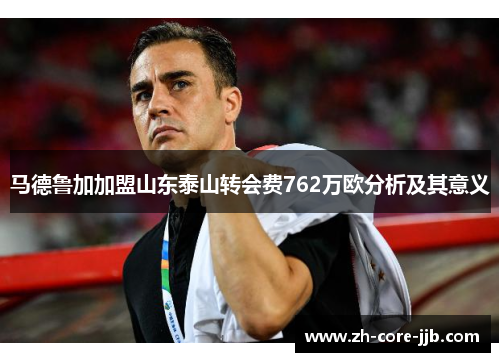 马德鲁加加盟山东泰山转会费762万欧分析及其意义