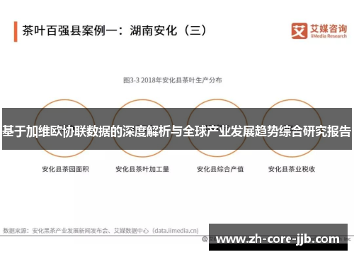 基于加维欧协联数据的深度解析与全球产业发展趋势综合研究报告